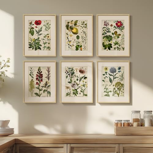 A Stunning Set Of Six Botanical Prints For Contemporary Farmhouse Charm