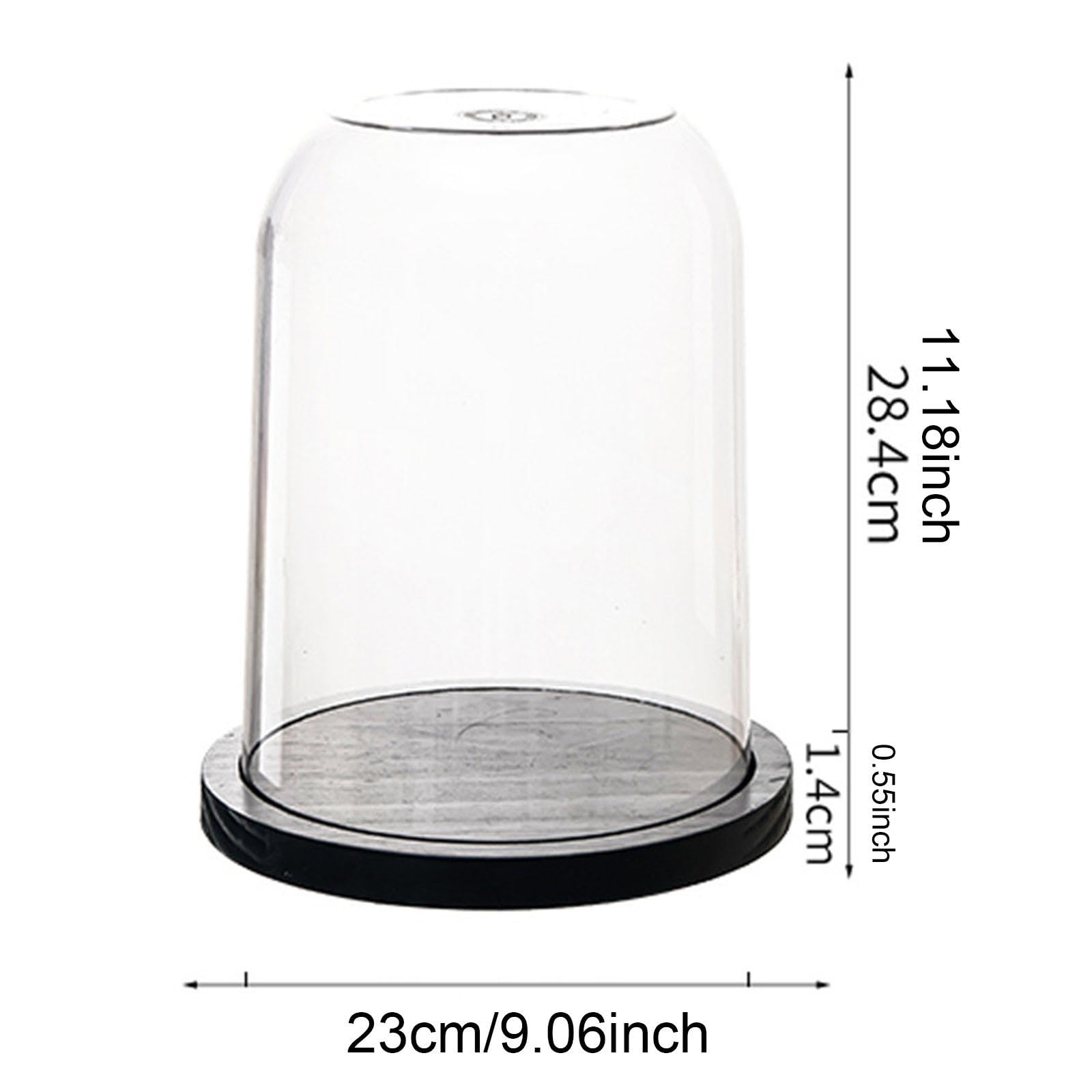 Qianly Cubierta de Cristal en Forma de Cúpula con Base de Madera para Exhibir Joyas Y Estatuas, 23 Cm X 28.4 Cm