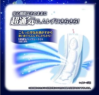 ソフィ　超熟睡　限定涼肌ムレずにさらさら　400　１６個×10袋　大容量 ソフィ 超熟睡 限定涼肌ムレずにさらさら 400 16個×10袋