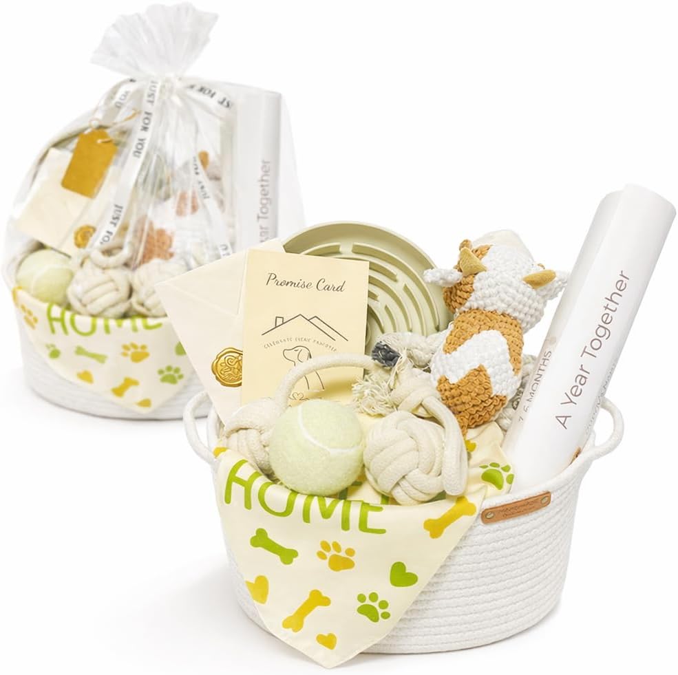 Puppy Welcome Home Gift Basket – New Puppy Starter Kit with Toys, Slow Feeder Bowl, Bandana, First Year Milestone Card & Promise Card, Puppy Gift Set for New Dog Owners
