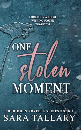 One Stolen Moment: A Forbidden, Forced Proximity Romance (Forbidden Novella Series Book 1)