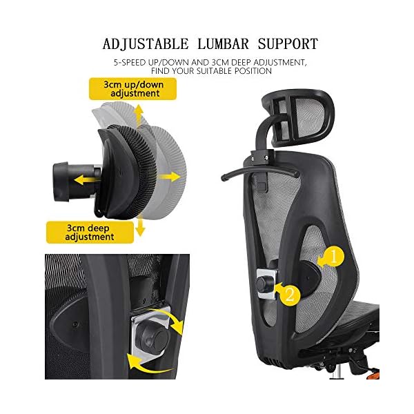 Cedric Ergonomic Office Chair with Lumbar Support，Breathable Mesh Desk Chair with Adjustable Headrest，3D Armrests， Tilt Function-EN1335 certification，CD-8015 - Image 3