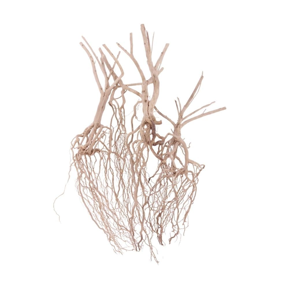 AquaOne Steppen radice n. 8537 - Decorazione per acquario, radice in legno, decorazione per acquario, decorazione per paesaggio, Moorkien Moorkien Redwood Mangrove muschio naturale