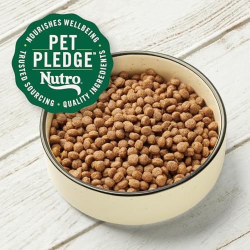 Image of Nutro Max Mini Chunk Adult Dry Dog Food, Farm-Raised Chicken, 25 lb
