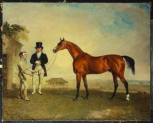 Tableau Toile d'Art SERENDIPITP Oeuvre Peinture de Maître Skiff a Bay Racehorse