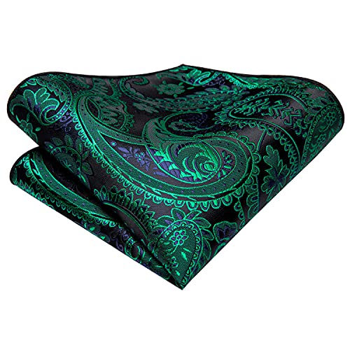 Image of Hi-Tie Paisley Floral Ties Set for Men Silk Mens Stripes Necktie Pocket Square Cufflinks Set Formal Business