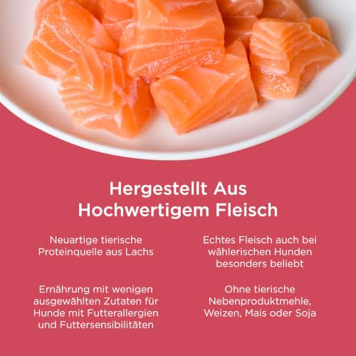 Go! Solutions Hundetrockenfutter Lachs, getreidefrei Sensitivities, 10 kg – Ansicht 4