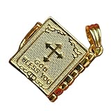 LKBEADS Colgante de cruz con libro bíblico | Fabricado en acero inoxidable | Chapado en oro, 22 mm | Joyería cristiana, dije de cruz de Jesús | LK_CHP_0175_w