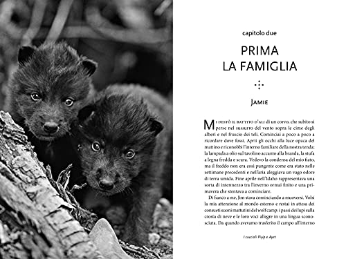 Lupi. Storie Di Saggezza. Ediz. Illustrata - 6