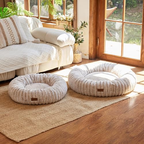 FUKUMARU Hundebett，Katzenbett für den Innenbereich, orthopädisches Hundebett, waschbare Abdeckung, modernes Design mit Farbverlauf. 64 x 64 x 18 cm, Kamel