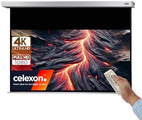 Celexon Leinwand Motor Professional Plus 280 x 175 cm