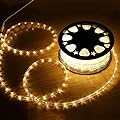 HuiZhen Indoor Outdoor Rope Lights,110v 100ft Connectable led rope lights Outdoor Waterproof Kit for Party,Wedding,Background,Trees,pool,Eaves Decoration with UL Certified(Warm White)