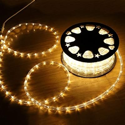 HuiZhen Indoor Outdoor Rope Lights,110v 100ft Connectable led rope lights Outdoor Waterproof Kit for Party,Wedding,Background,Trees,pool,Eaves Decoration with UL Certified(Warm White)