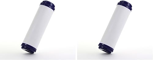 Hydronix UDF-10 - Filtro de agua GAC de coco para sistemas de ósmosis inversa, bajo fregadero o encimera, 2.5 x 10 pulgadas (paquete de 2)