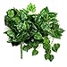 Darice Ivy Chain Green, 6 Feet Garland