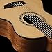 Washburn Apprentice G-Mini 5 with Gig Bag, Acoustic Guitar, Natural