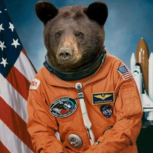 41. El arma con la que los astronautas rusos se defendian de los osos (por @Pedro_Torrijos) copertina