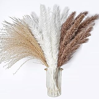50 Pieces 40cm White Natural Dried Pampas Grass Artificial Boho Home Decor Natural Phragmites Communis Dried Flowers for Vases White Bouquet Flower Phragmites Wedding Holiday Party Decor 50