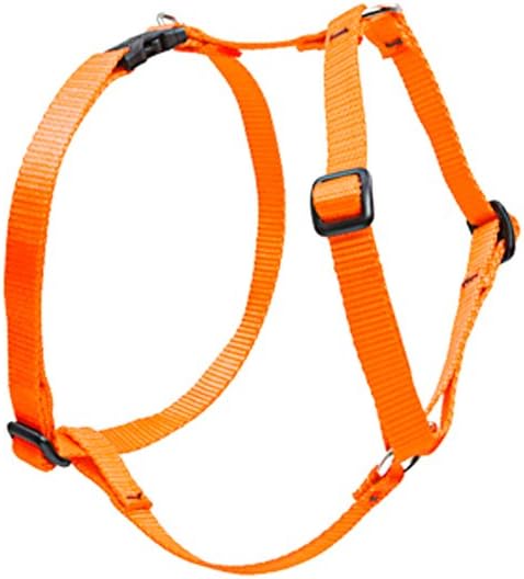 LupinePet Basics 3/4" Blaze Orange 20-32" Adjustable Roman Dog Harness for Medium Dogs