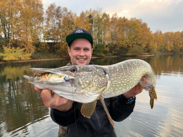 Perch'ik Leurres Souples Bobr - Leurres souples - Magasin de peche