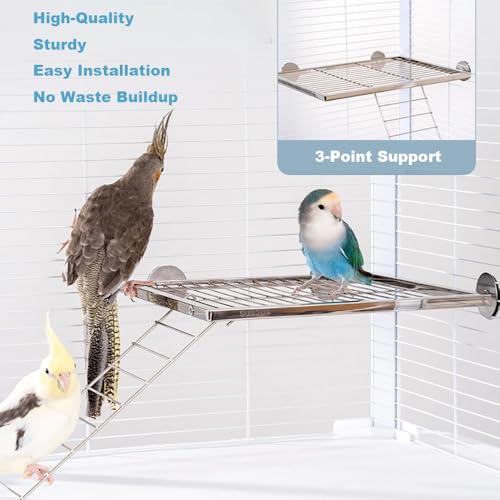 Image of Stainless Steel Bird Platform & Climbing Ladder Set (1 Platform + 1 Ladder) - Durable, Washable Cage Perch for Parakeets, Cockatiels, Conures (S)