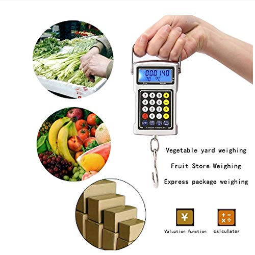 Electronic Balance Digital Fishing Scale Muti-Functional Hook Hanging with Measuring Tape Luggage Travel Steelyard image 4