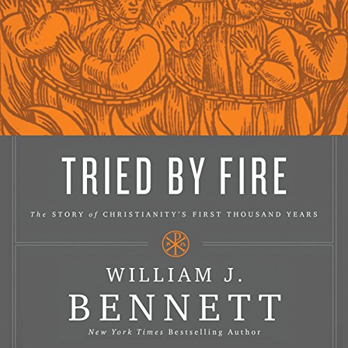 Cover art for Tried by Fire