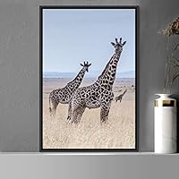 Framed Canvas Wall Art Giraffe Animals Expressive Farmhouse/Country Giraffe Living Room Multicolor Photography - 16x24 inches