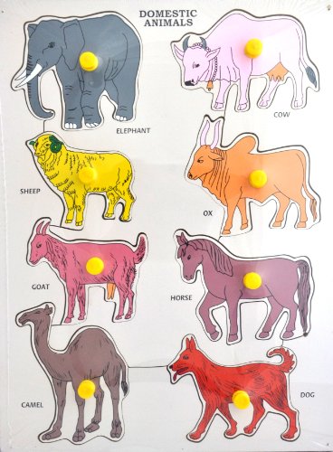 Image of Little Genius Animal - Domestic Tray with Knob, Multicolour