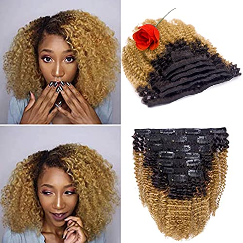 Kinkys Clip In Hair Extensions 4A 4B Afro Kinky Clip In Virgin Natural Hair Clip In Extensions Ombre Brown Blonde Natural Clip In Hair Extensions For Black Women Full Head Kinky Clip In # 1b/27 10Inch