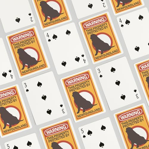 Lantern Press naipes poker 52 cartas para adultos miniatura 4