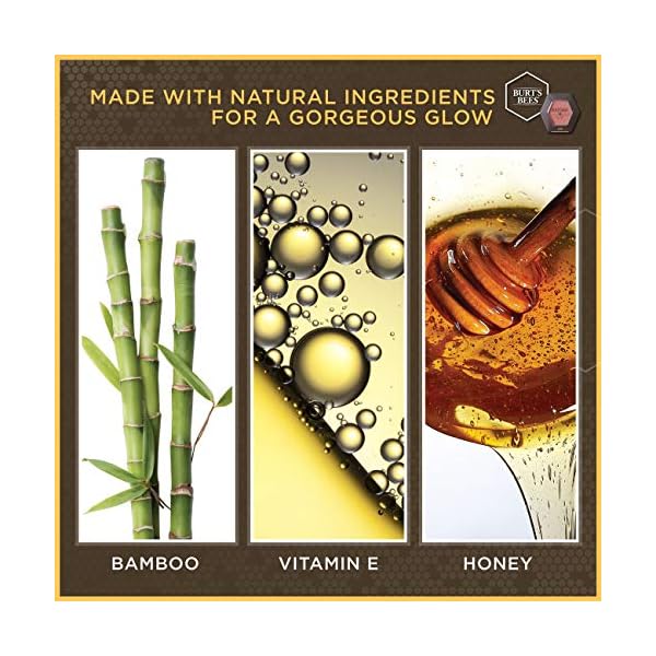 Burt's Bees 100% Natural Origin Blush with Vitamin E, Shy Pink - 0.19 Ounce