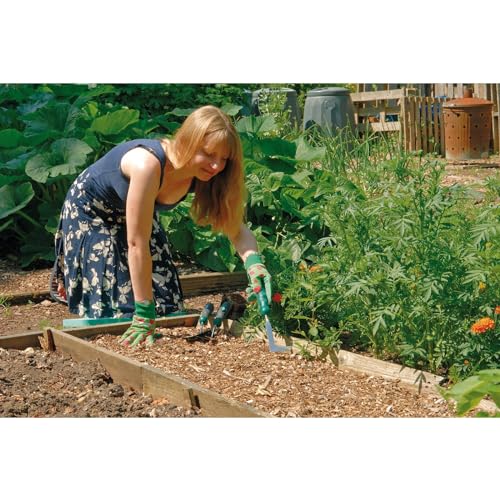 Draper Tools GSFTPW - Azadilla para jardinería (Acero)