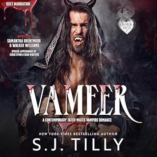 Vameer Audiobook By S.J. Tilly cover art