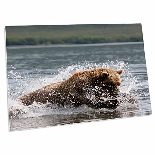 3dRose Pad para escritorio Brown Bear Catching Fish miniatura 1