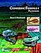 Cenozoic Fossils 1: Paleogene