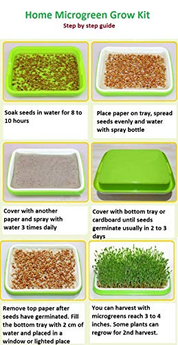 Image of 2 Pack of BPA Free Home Microgreen Soilless Hydroponics Seed Sprouter Grow Tray with Cover + Free Spray Bottle and 20 Sheets Growing Paper