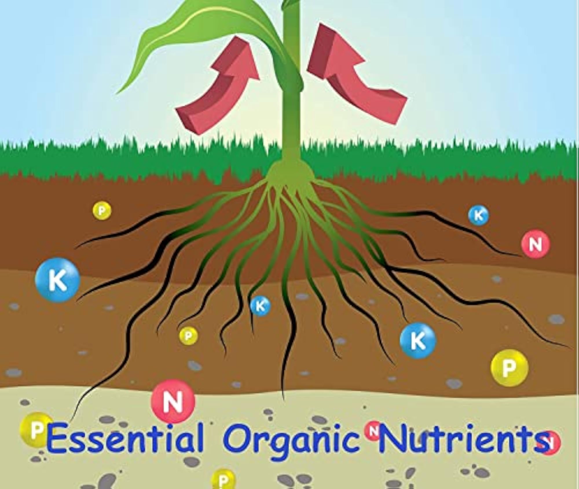 Nicotox-D Tobacco Dust Powder for Plants, Organic Pest Control