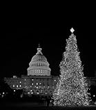 Photography Poster - Christmas tree at the U.S. Capitol Washington D.C. 24 X 21