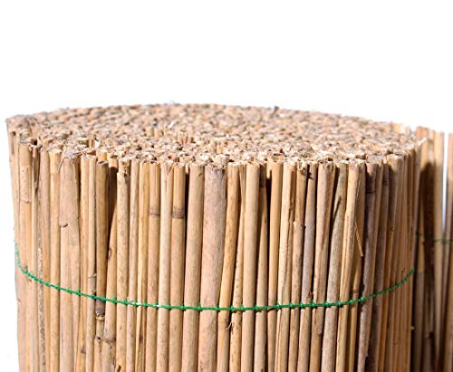 bambus-discount.com Schilfrohrmatte bambussi 100x500cm mit grünem Draht verwebt - Niedrige Sichtschutz Schilfmatte 1m x 5m