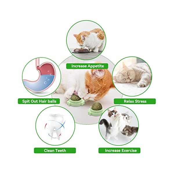 Aucenix Katzenminze Balls Spielzeug für Katze, Katzenminze Wandroller für Katzenlecken, Zahnreinigung Dentales essbares Kätzchenspielzeug, Natürliches drehbares Katzenspielzeug (2 Stück Grün) – Bild 3