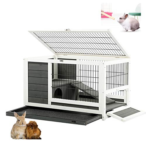 Aoxun Wooden Rabbit Hutch