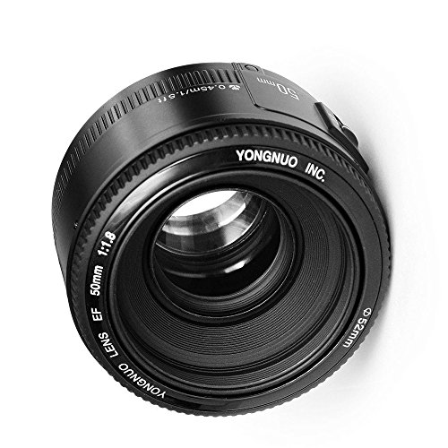 Lente Yongnuo 50mm f1.8 para Canon EOS - Fernando Cortés