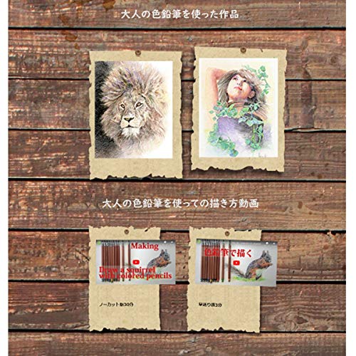 Kitaboshi 2Mm Mechanical Colored Pencil - 13 Color Set, 1 Set (Otp-Ie13) #TOP5