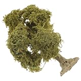 HOMSFOU Miniatur Landschaftsbäume aus Draht 10cm Modellbäume für Modelleisenbahn Mikrolandschaften Grüne Miniatur Ornamente für Garten und Sandtisch