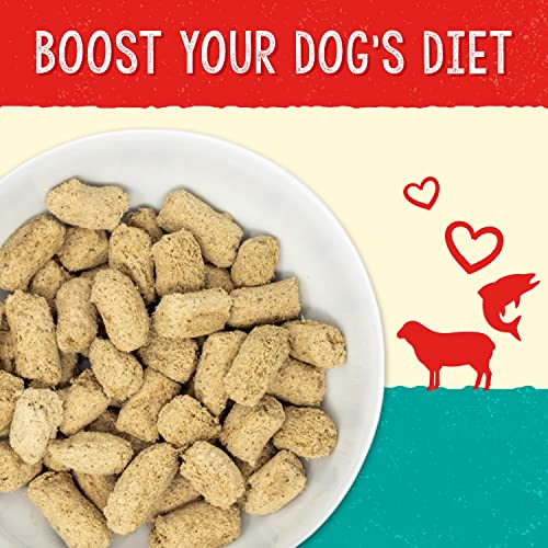 Stella & Chewy's Stella's Solutions Skin & Coat Boost Grass-Fed Lamb & Wild-Caught Salmon Dinner Morsels Freeze-Dried Raw Dog Food, 13 Oz (Sol-Fdlssc-13) #TOP1