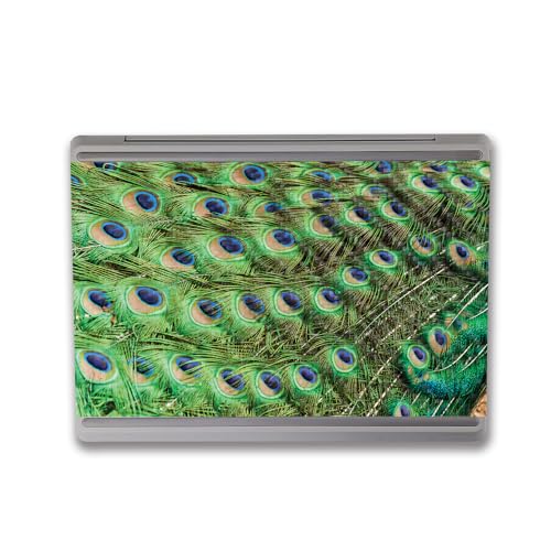 Image of MightySkins Carbon Fiber Skin Compatible with Microsoft Surface Laptop Go 3 (2023) Full Wrap Kit - Peacock Pattern | Protective, Durable Textured Carbon Fiber Finish | Easy to Apply | Made in The USA