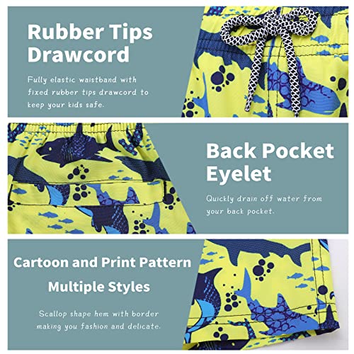 Image of Biwisy Boys Swim Trunks Quick Dry Swim Shorts Little Boys Lining Swimwear Bathing Suits with Pockets