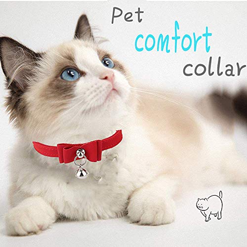 Image of HASTHIP Adjustable Cat Belt, Strong Breakaway Buckle, Cat Collar With Bell, Velvet Neck Strap for Small and medium-sized Cats, Safety&Comfort 33.5CM - Red (Pack of 1)