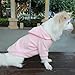HuaLiSiJi Dog Hoodie Dog Sweatshirt Pet Wear Hoodie Small Dog Sweater, Warm and Lightweight, with a Soft Texture, Easy to Wear and Bright Colors (Pink, Medium)